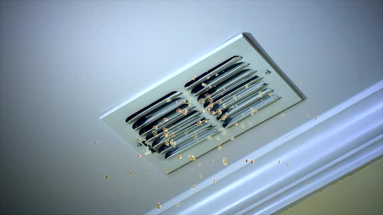 Best Home Air Vent Cleaning  in Riverdale Park, MD